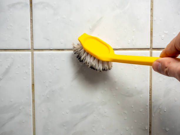 Best Certified Mold Removal  in Idaho Springs, CO
