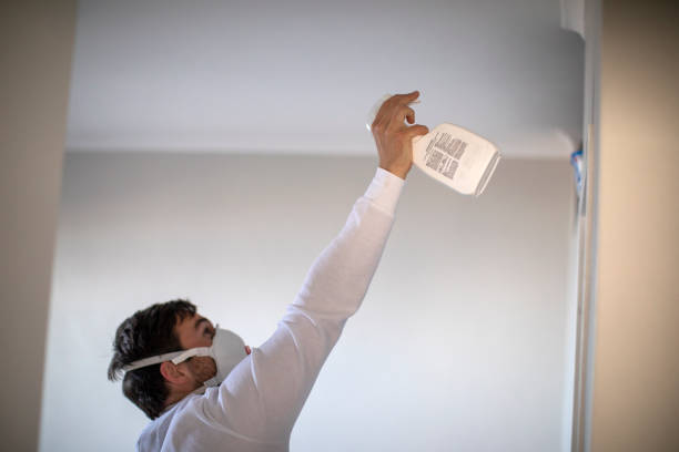 Best Toxic Mold Removal  in Idaho Springs, CO