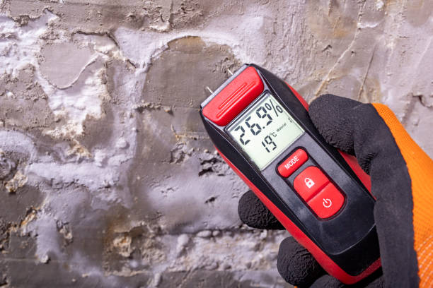 Best Emergency Mold Removal  in Idaho Springs, CO