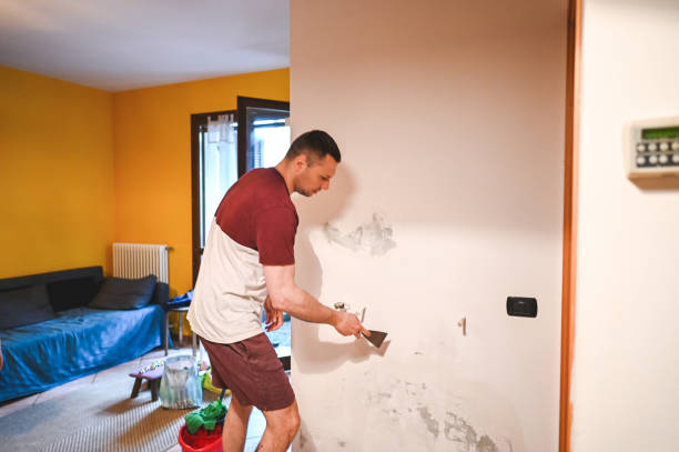 Best Mold Remediation  in Idaho Springs, CO